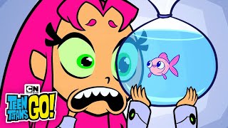 Teen Titans GO! | Starfire’s New Pet  | Cartoon Network