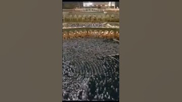 من محراب الحرم المكي الشيخ أ.د.سعود الشريم حفظه الله من سورة الأحزاب "ترجي من تشآء منهن وتؤوي......"