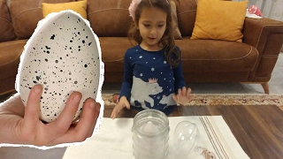 Dinozor yumurtası , eğlenceli çocuk videosu , toys unboxing