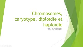 Chromosomes, caryotype, diploïdie et haploïdie
