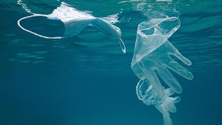 25,000 tons of pandemic-related plastic waste have ended up in our oceans: Report