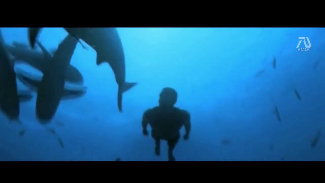 Download Aquaman 2 22 Movie Trailer Fan Made Mp4