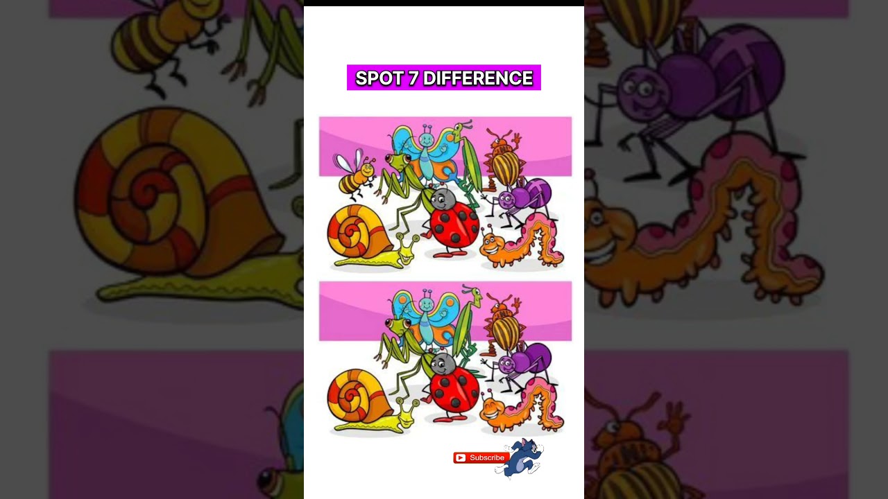 Ultimate Difference Hunt Can You Spot it 