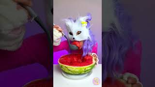 Warum Frisst Meine Katze Wermelone?