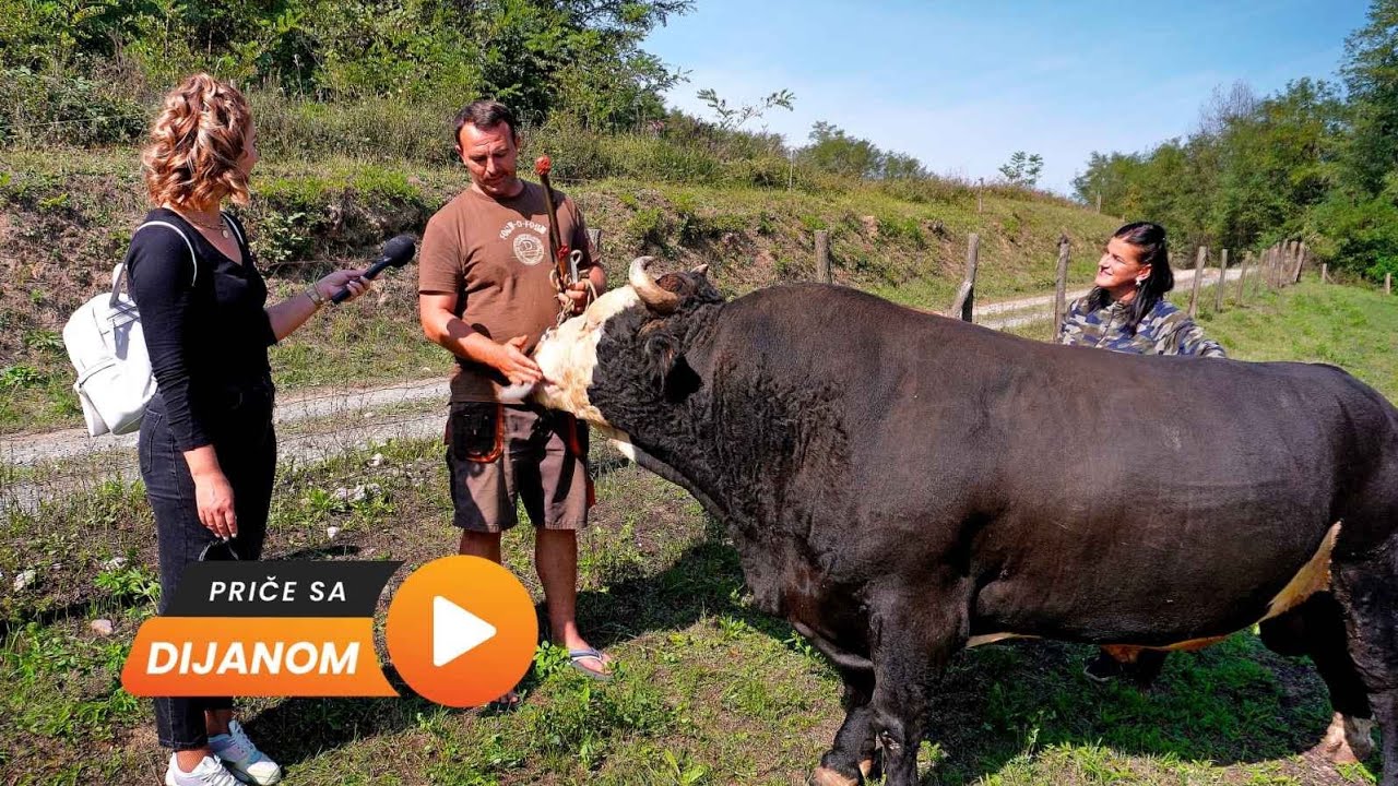 Vratio se iz Slovenije, VIŠE NE OSTAVLJAM porodicu!