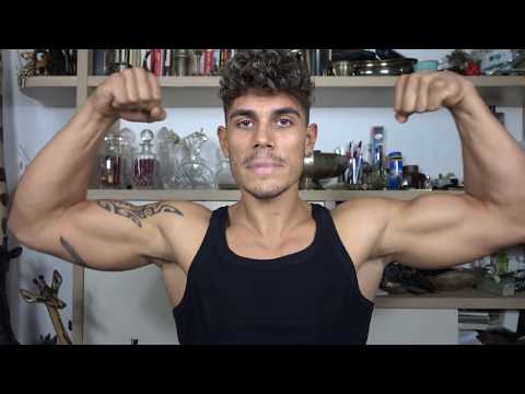 quando prendo shredz brucia grassi