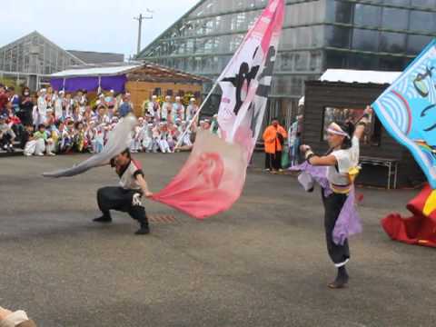 チーム『連』 円卓の騎士 南砺菊まつり （2013年11月4日）