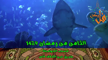 فليكنTV (تلاوة لن تمل منها برواية ورش تراويح العشاء لليوم الثامن من رمضان مسجد الجوامعة 1439)