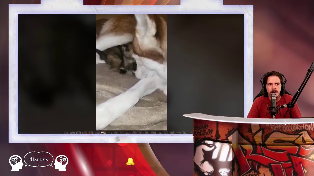 Was The Stand With Sophie Movement A Scam By Michael Long