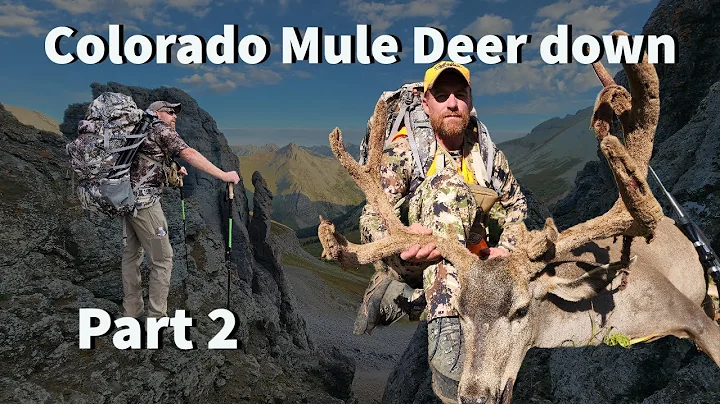 Colorado Mule Deer Hunt-featuring The Legend Phil Miller "Part Two"