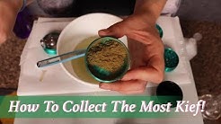 How To Clean Your Grinder and Collect The Most Kief