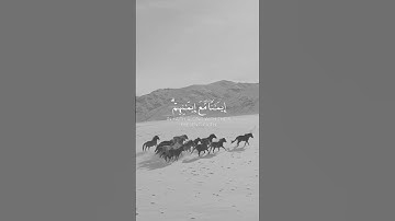 القران الكريم ، سكينة الروح، ايات من الذكر الحكيم .