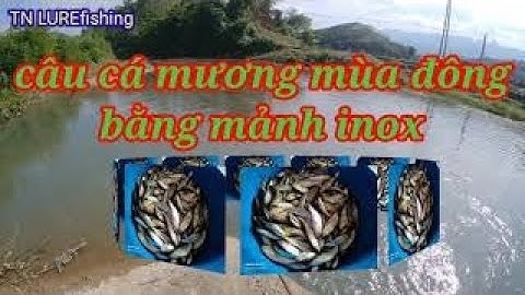 Câu Cá Mương Mùa Đông Bằng Mảnh INOX