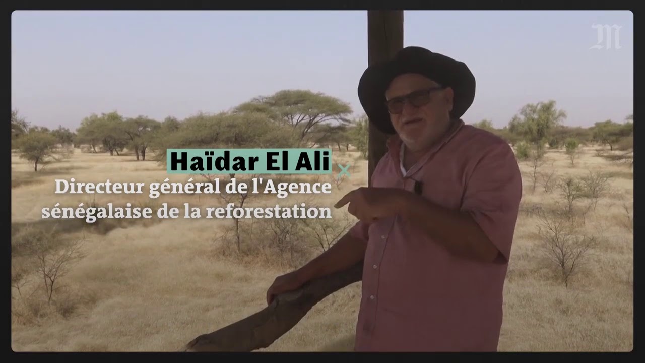 Comment l'Afrique tente d'arrêter le désert - YouTube