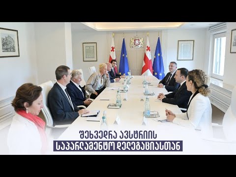 შეხვედრა ავსტრიის საპარლამენტო დელეგაციასთან