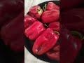 Kapya Közleme #kapyabiber