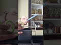 Aesthetic desk organizer # New desk mate # vlogs with Karthi