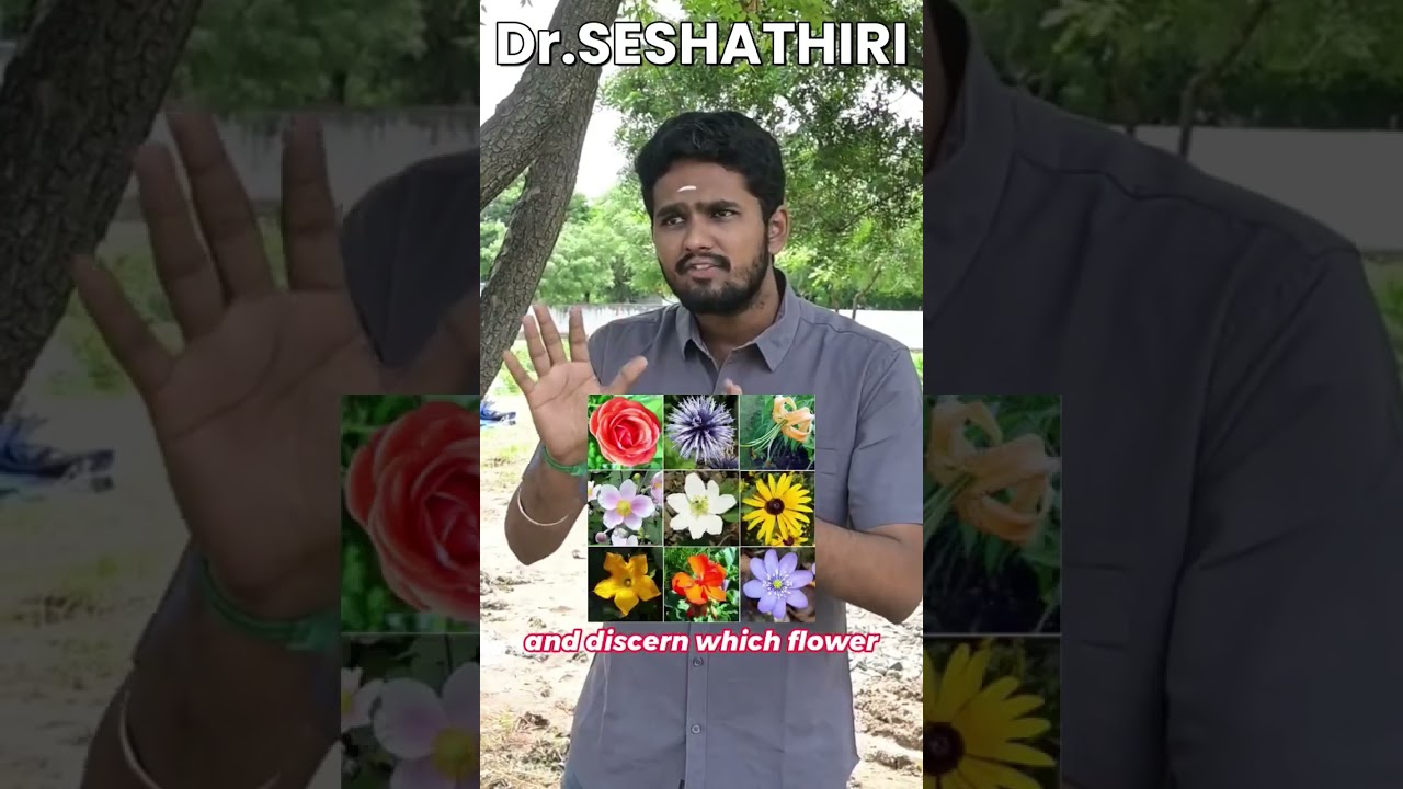 What is Sympathetic Resonance Frequency 🤯 ஒத்த அதிர்வலைகள் ⚡Demo with Proof📃 #flowerremedies #shorts