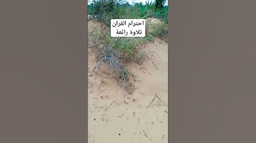 اسمع القران الكريم تلاوة رائعة اجواء رائعة المطر #الجزائر #ouargla #algeria #اكسبلور #ورقلة #ترند