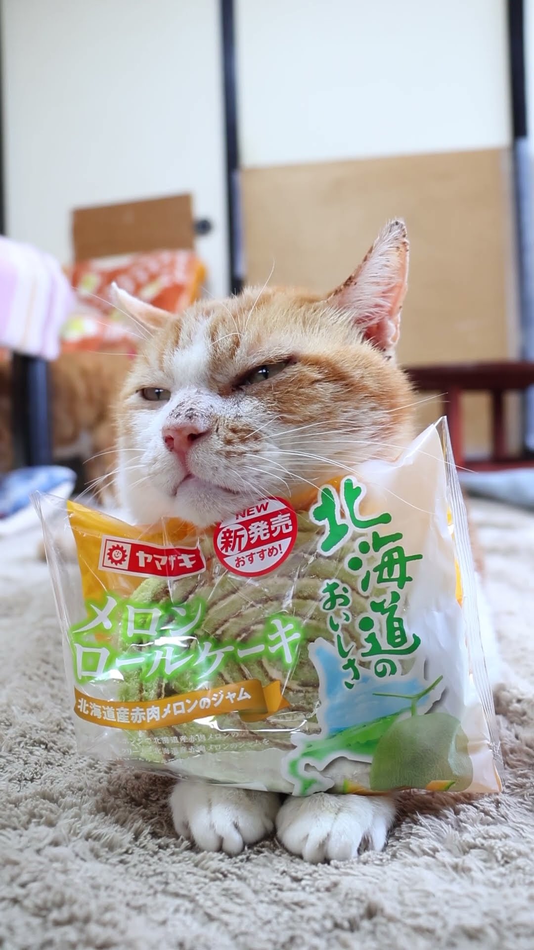⑮みけねこ　北海道産　赤肉メロン 北海道産赤肉メロン | 商品詳細 | 高島屋オンラインストア