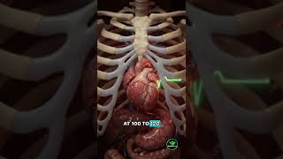 Hands-Only CPR in 6 Steps (Anyone Can Do It) #shorts  #fyp #cpr #viral