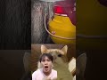 #cutecat #funny #cat #viral #cute #waterpark #comedy #stitchtricks dadas