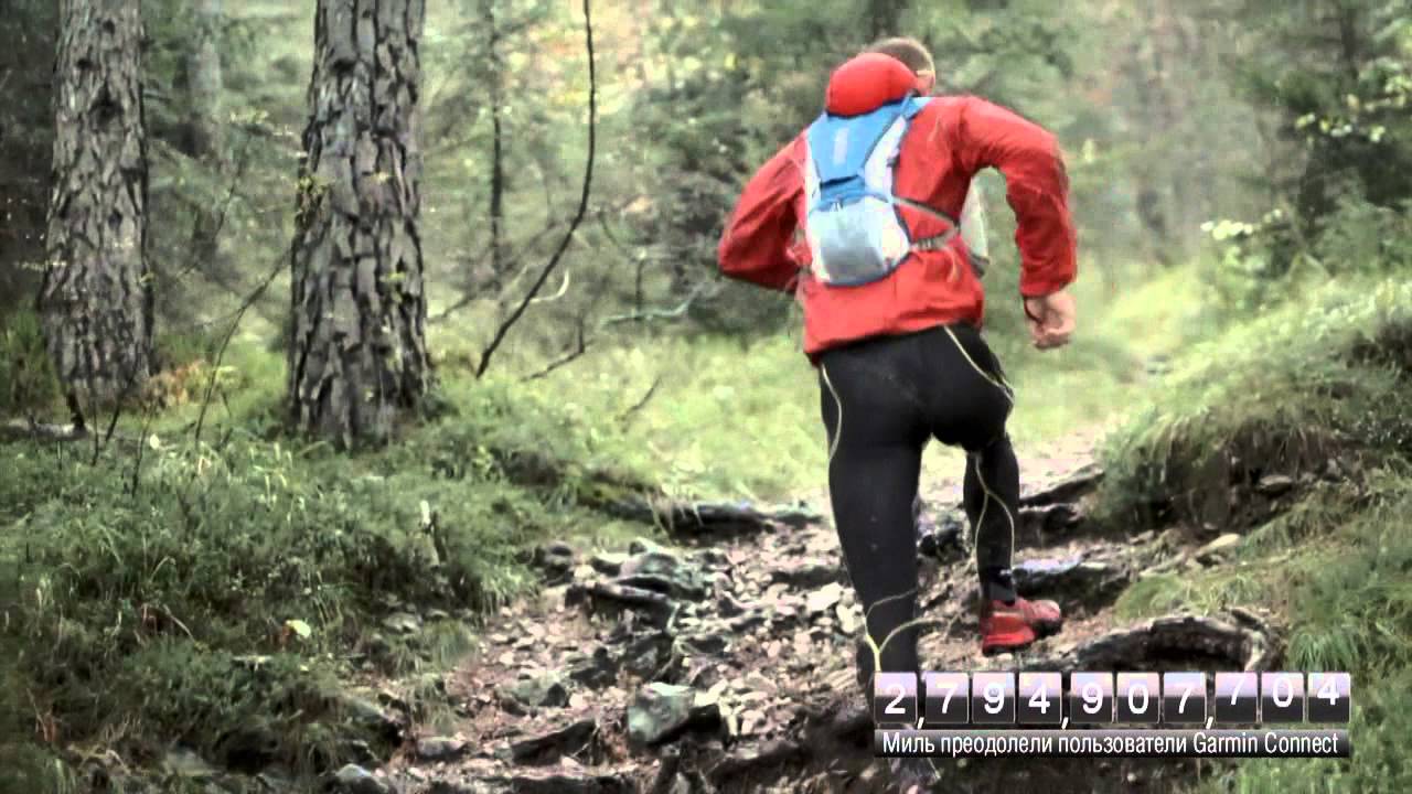 Garmin Connect официальный язык швейцарии