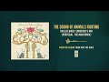 The Sound of Animals Fighting "Skullflower: Sorcerer's Mix (Portugal. The Man Remix)