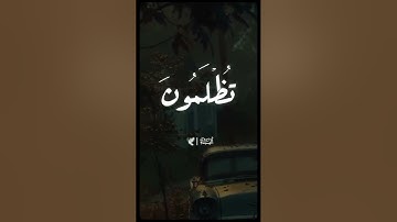 تلاوة رائعة || الشيخ محمد الامام حسين. #قرآن #قران_كريم #quran #tilawat #تلاوة_مميزة #تلاوة_هادئة