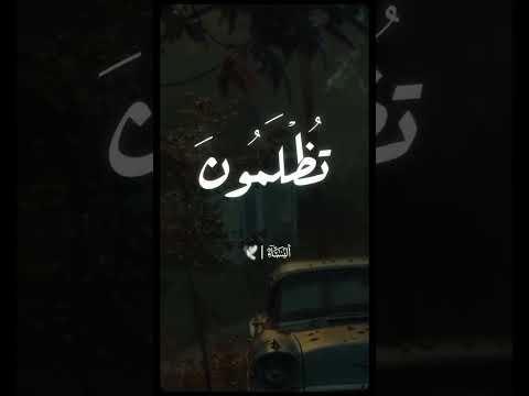 تلاوة رائعة الشيخ محمد الامام حسين قرآن قران كريم Quran Tilawat تلاوة مميزة تلاوة هادئة 