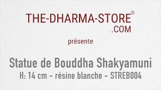 Vidéo: Statue de Bouddha Shakyamuni (H. 14 cm - résine) Art du Népal