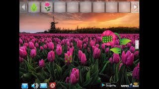 escape from strange flower land video walkthrough