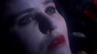 Vignette de la vidéo "Puce Mary ~ The Temptation To Exist"