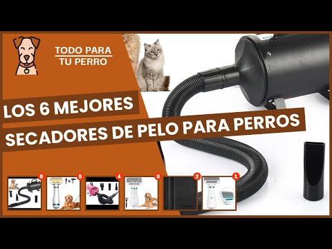 🎬 Video relacionado con secadores de pelo para perros