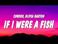 corook - If i were a fish (Lyrics) ft. Olivia Barton &quot;if i were a fish and you caught me&quot;