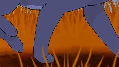 ANIMATED Cat Run Cycle