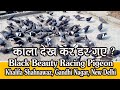 Khalifa shanawaz k black beauty racing pigeons ka shok ustad amir talim karachi pakistan