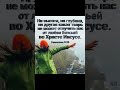 СПАСИБО БОЛЬШОЕ ТЕБЕ , ДРАГОЦЕННЫЙ ЛЮБЯЩИЙ НЕБЕСНЫЙ ПАПОЧКА ЗА ТВОЮ ЛЮБОВЬ К НАМ … 27.10.2025