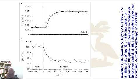 Oxygen kinetics: Phase II responses