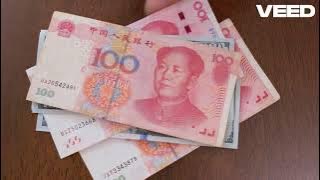 Unlocking China's Path  Learning from Germany Part II