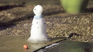 Snowman Melting