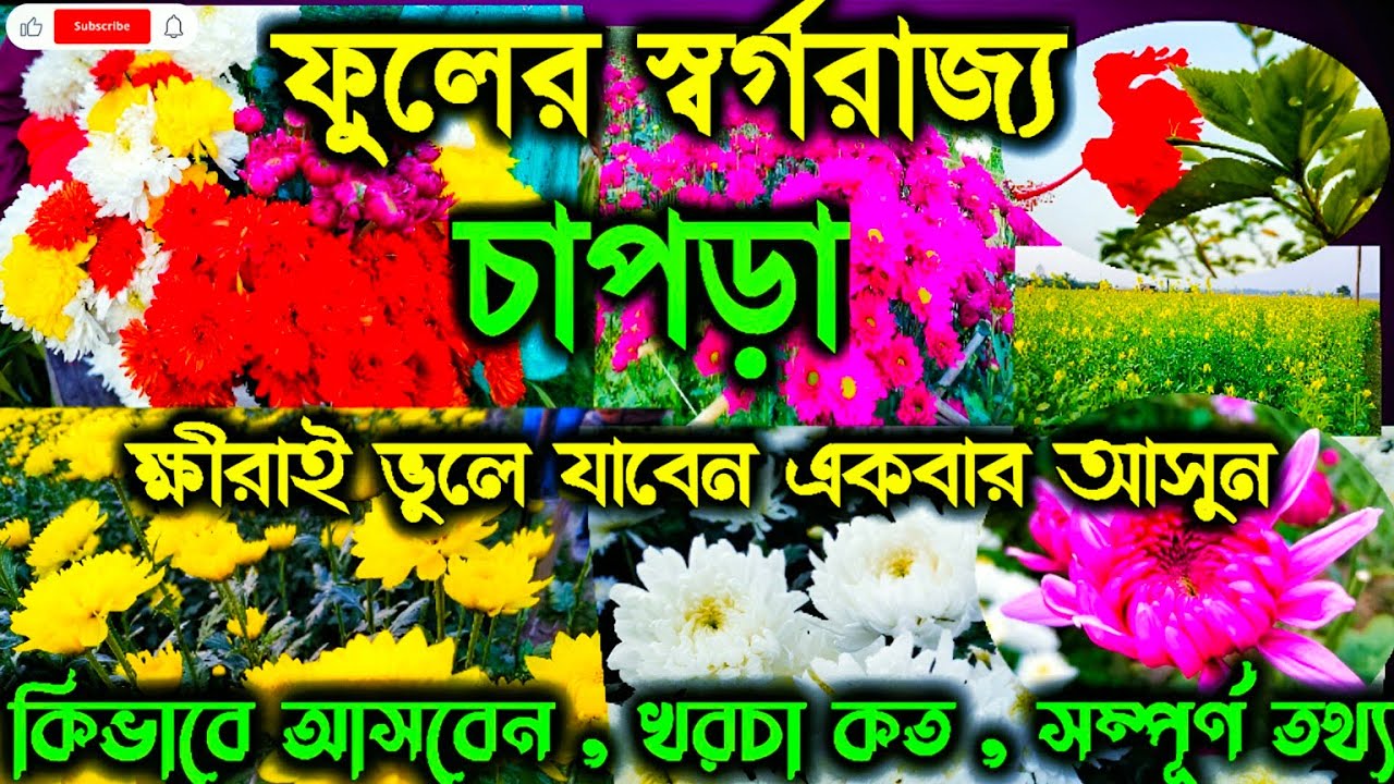 Ranaghat chapra flower valley | Ranaghat chapra fuler bagan | Ranaghat flower garden | chapra flower