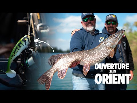 OUVERTURE sur ORIENT : ne sous-estimez pas ce leurre ! Avec Gaël Even & Jérôme Xhaflaire