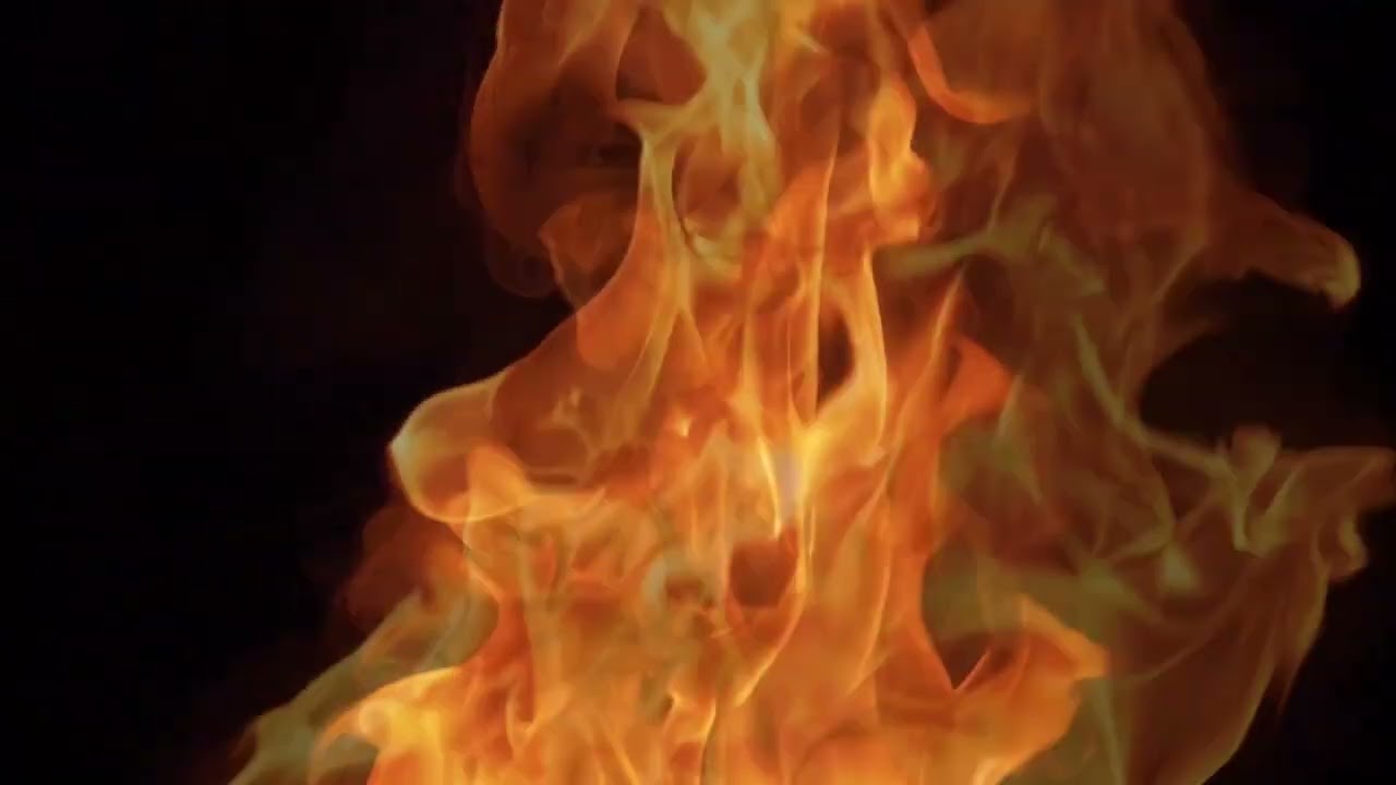 Spirit Tree - Cyganki Arystokratki (432 Hz)