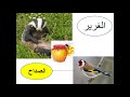 في عالم الحيوان ،  الصف الرابع الابتدائي