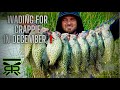 How to JIG and BOBBER CRAPPIE from the BANK‼️🦫MEAN OTTERS tried to STEAL my FISH‼️