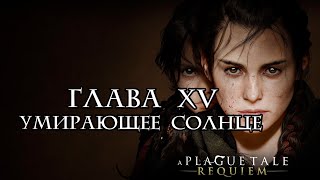 A Plague Tale: Requiem [PC]. Глава 15 - Умирающее солнце