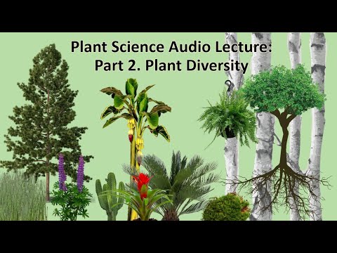 Plant Science Notes - Part 2: Plant Diversity - YouTube