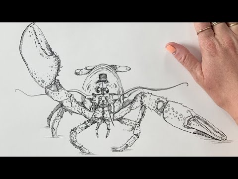 Lobster Drawing  How To Draw A Lobster Step By Step