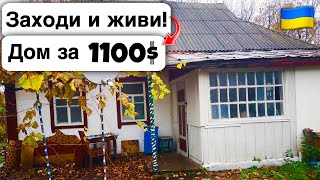 🇺🇦 Заходи и живи! Дом в селе за 1100$ Продажа недвижимости за копейки! Всё есть Уютное тихое село!